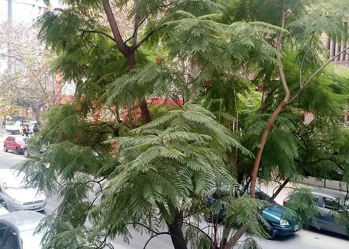 Nueva Cordoba Rondeau
